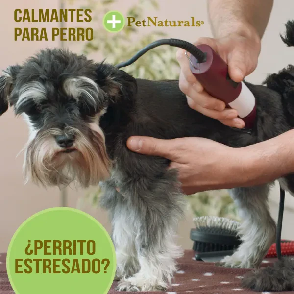 Pet Naturals Daily Multi para Razas Medianas y Grandes