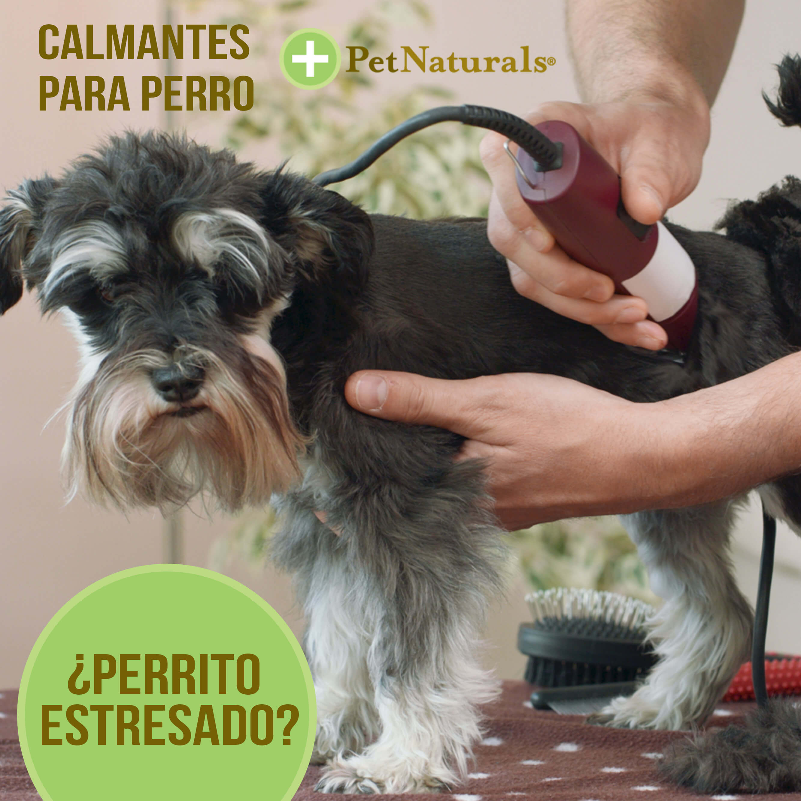 Pet Naturals Daily Multi para Razas Medianas y Grandes